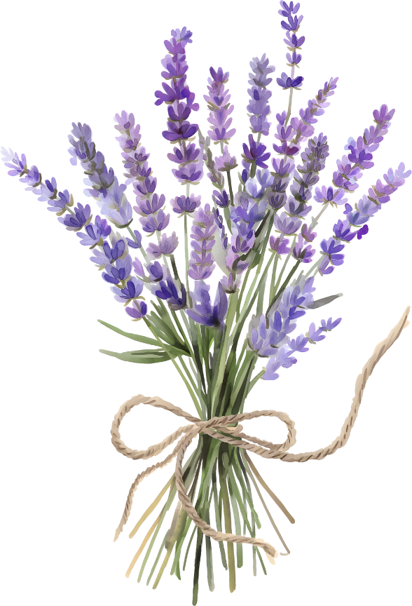 buque de lavanda
